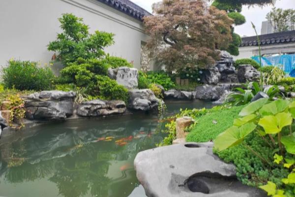 景观石是什么石头.