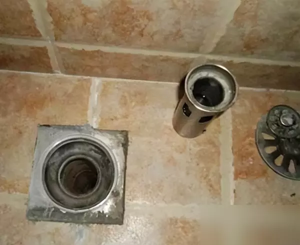 卫生间下水道地漏怎么更换(3)