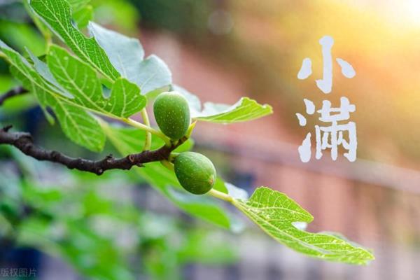 摆放聚宝盆要用什么日子好.