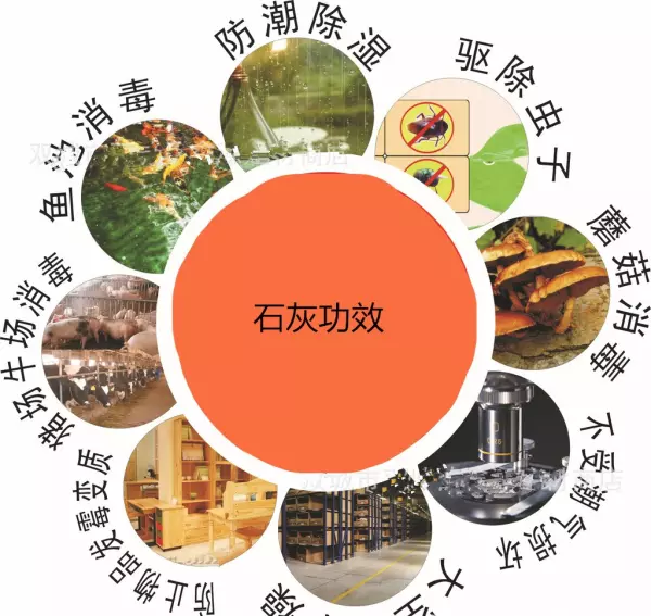石灰膏陈伏的主要目的是什么(1)