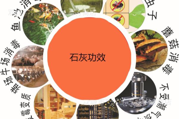 石灰膏陈伏的主要目的是什么.