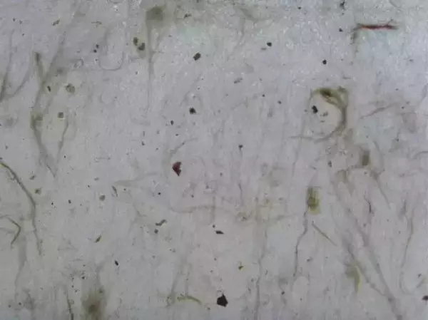 高丽纸和宣纸的区别(10)