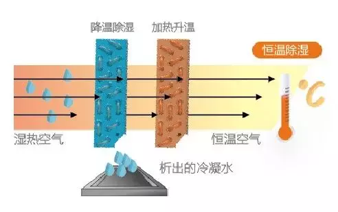 空调开除湿和制冷哪个除湿效果好(1)