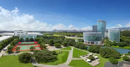 三颗树总部在哪里(1)