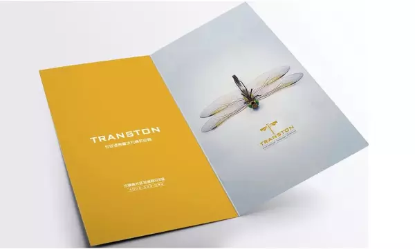 dm单是什么意思通俗点(1)