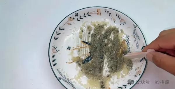 房间有老鼠怎么办用什么驱赶老鼠(6)