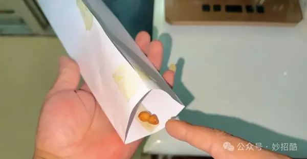 房间有老鼠怎么办用什么驱赶老鼠(8)
