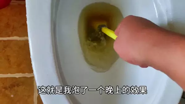坐式马桶堵了疏通窍门什么是草酸(1)