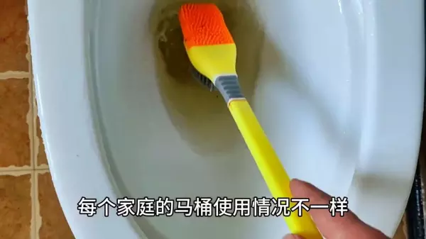 坐式马桶堵了疏通窍门什么是草酸(4)