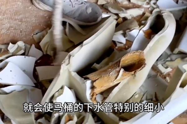 坐式马桶堵了疏通窍门什么是草酸.