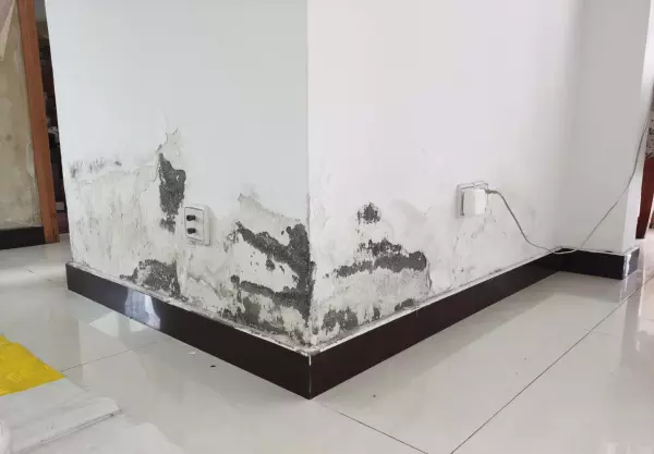 渗水的室内墙体怎么解决(2)