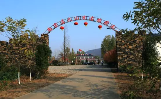 玄武石产地在什么地方(1)