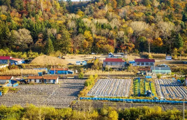 房价最低的城市排名2024年(5)
