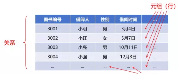 巴赫曼是哪个国家的品牌(9)
