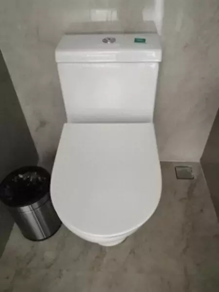 东鹏马桶和恒洁马桶哪个好(1)