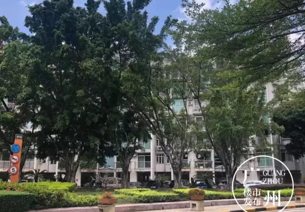 二沙岛别墅被强制拆迁的原因(6)