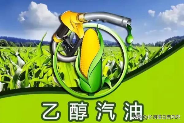 溶剂汽油和汽油的区别职业卫生.
