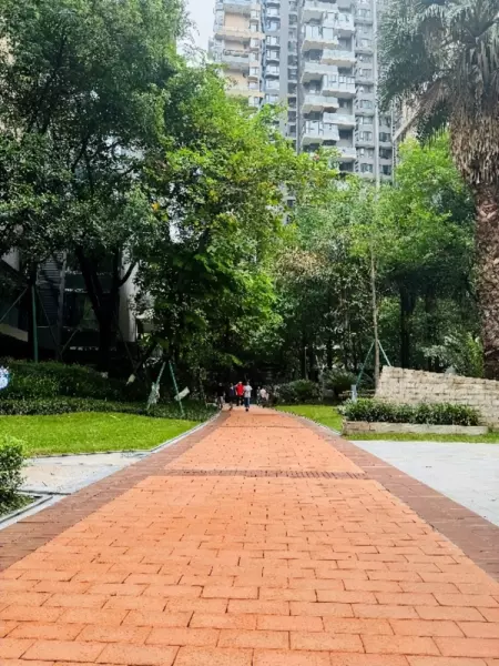华润凤凰城二期南门属于哪个社区(2)