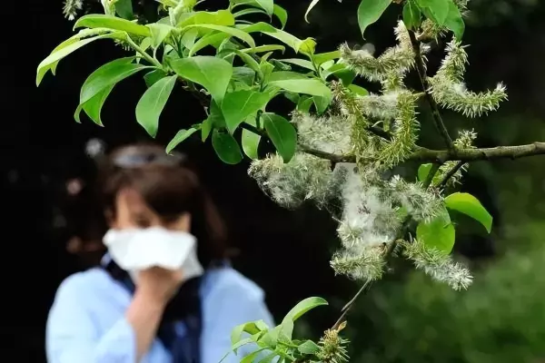 一天中空气污染什么时候最严重(9)