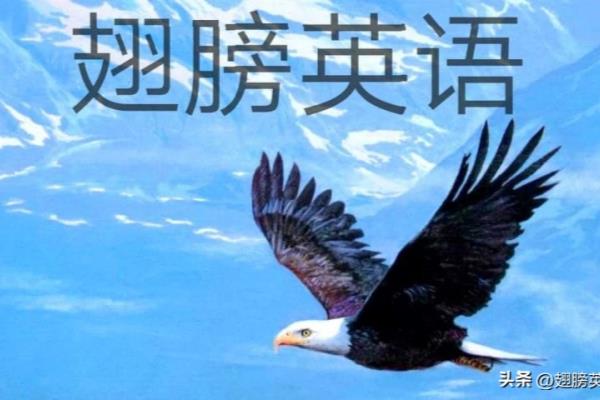 眼镜多少钱英语怎么说.