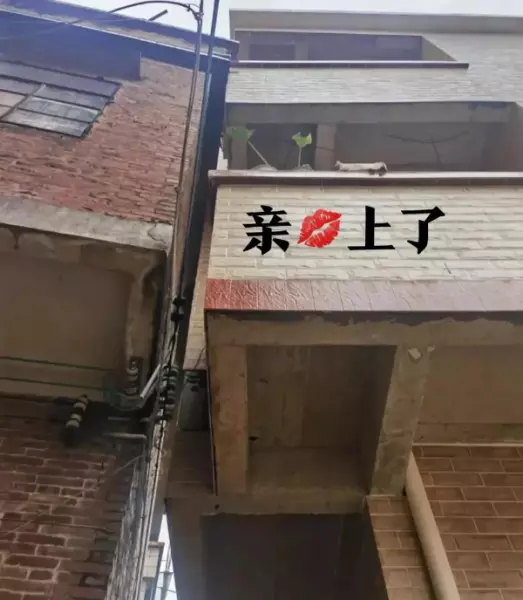 垫层的主要作用是什么(8)