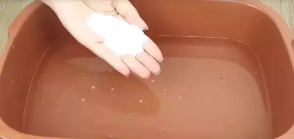 卧室发现蟑螂没有杀虫剂怎么办(1)