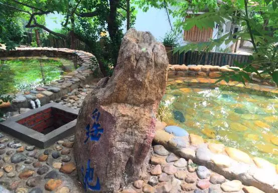 小雨木屋在鲅鱼圈什么的方(22)