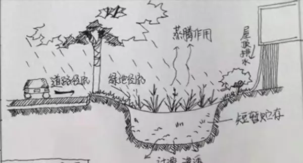 雨水花园树皮覆盖层的作用(1)