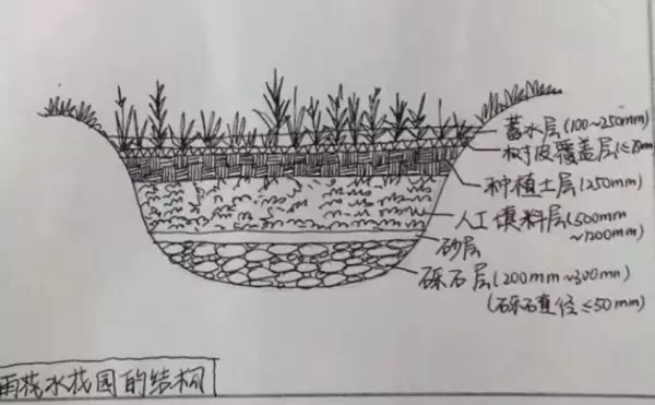 雨水花园树皮覆盖层的作用(2)