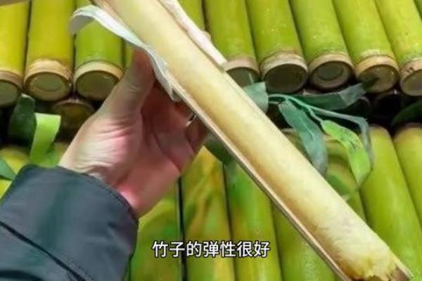 竹子为什么是一节一节的.