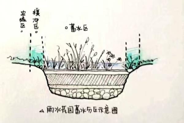 雨水花园树皮覆盖层的作用.