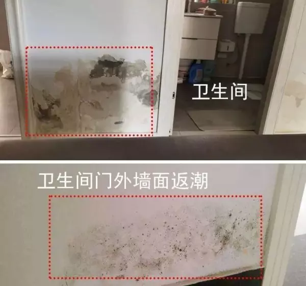 页岩陶粒批发 页岩陶粒价格(3)