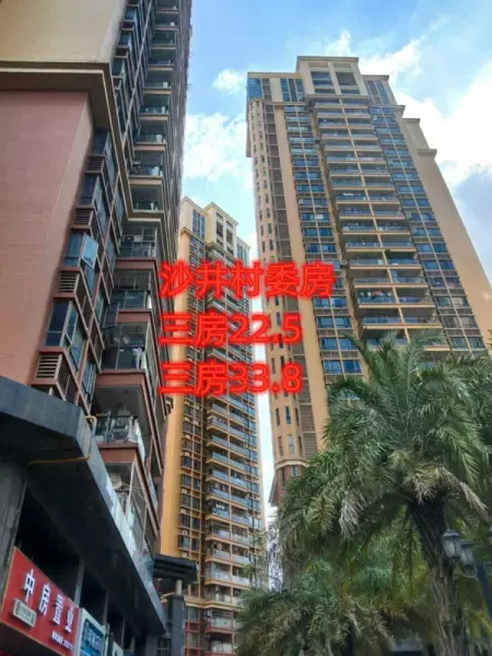 深圳小产权房子能买吗受法律保护吗(1)