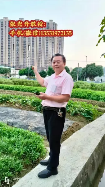 元亨利贞六爻排盘为什么不能用了(11)
