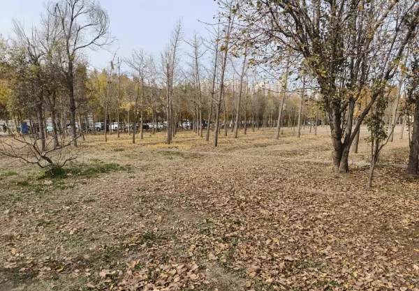天津商业大学宿舍条件怎么样(4)