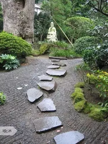 步石和汀步在园林道路设计中很常用,两者的区别在于(11)