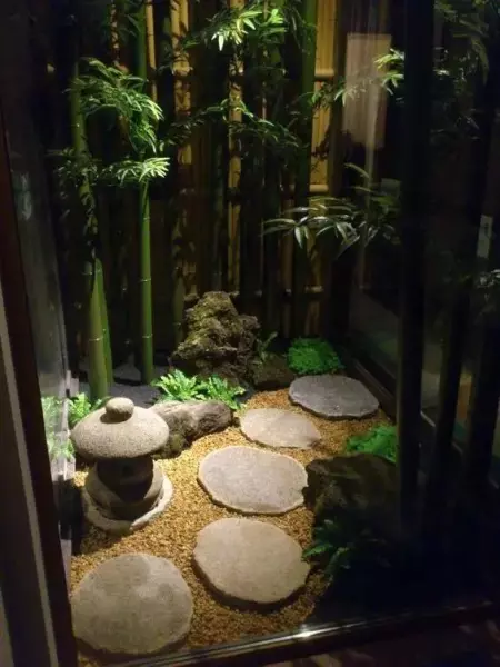 步石和汀步在园林道路设计中很常用,两者的区别在于(3)