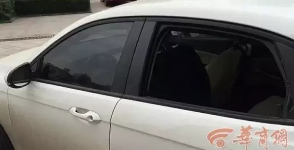 白桦林印象属于西安还是咸阳(13)
