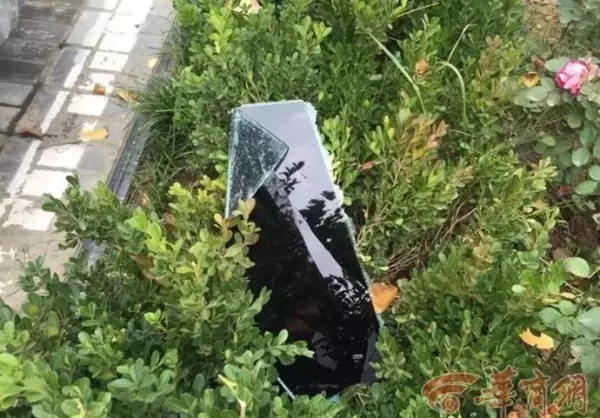 白桦林印象属于西安还是咸阳(14)