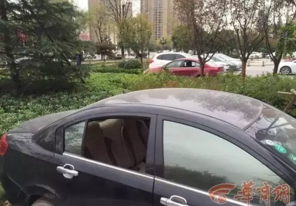 白桦林印象属于西安还是咸阳(15)