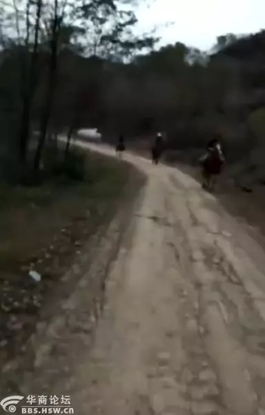白桦林印象属于西安还是咸阳(17)