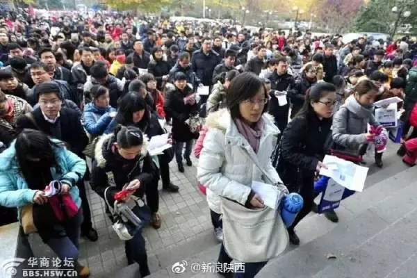白桦林印象属于西安还是咸阳(24)