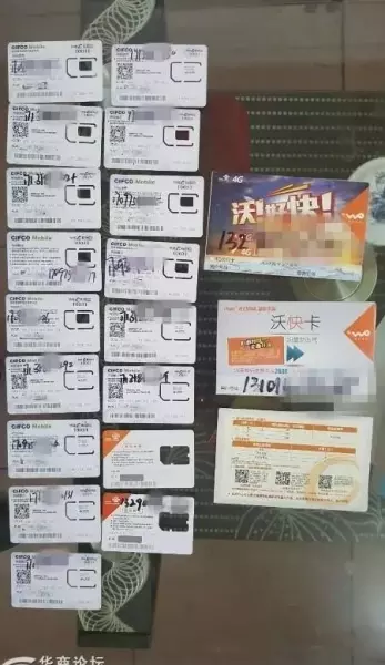 白桦林印象属于西安还是咸阳(8)