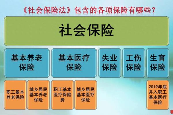 自己交公积金和单位交有什么区别.