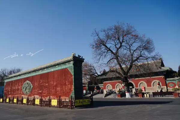 三雄是哪个地方的(4)